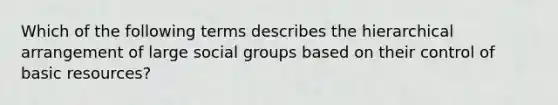 Which of the following terms describes the hierarchical arrangement of large social groups based on their control of basic resources?