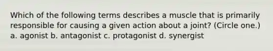 Which of the following terms describes a muscle that is primarily responsible for causing a given action about a joint? (Circle one.) a. agonist b. antagonist c. protagonist d. synergist