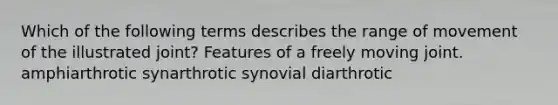 Which of the following terms describes the range of movement of the illustrated joint? Features of a freely moving joint. amphiarthrotic synarthrotic synovial diarthrotic