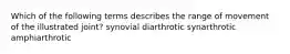 Which of the following terms describes the range of movement of the illustrated joint? synovial diarthrotic synarthrotic amphiarthrotic