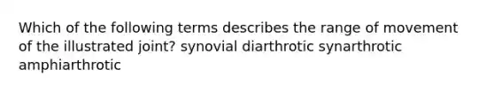 Which of the following terms describes the range of movement of the illustrated joint? synovial diarthrotic synarthrotic amphiarthrotic