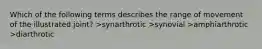 Which of the following terms describes the range of movement of the illustrated joint? >synarthrotic >synovial >amphiarthrotic >diarthrotic