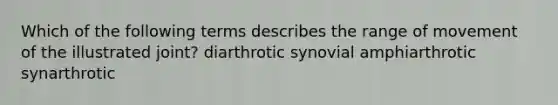 Which of the following terms describes the range of movement of the illustrated joint? diarthrotic synovial amphiarthrotic synarthrotic