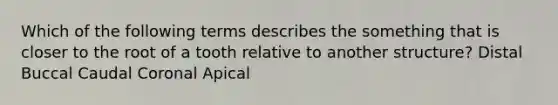 Which of the following terms describes the something that is closer to the root of a tooth relative to another structure? Distal Buccal Caudal Coronal Apical