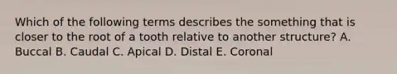 Which of the following terms describes the something that is closer to the root of a tooth relative to another structure? A. Buccal B. Caudal C. Apical D. Distal E. Coronal