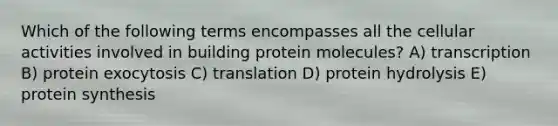 Which of the following terms encompasses all the cellular activities involved in building protein molecules? A) transcription B) protein exocytosis C) translation D) protein hydrolysis E) protein synthesis