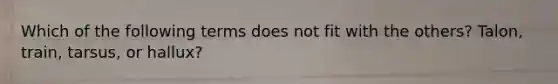 Which of the following terms does not fit with the others? Talon, train, tarsus, or hallux?