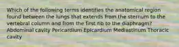 Which of the following terms identifies the anatomical region found between the lungs that extends from the sternum to the vertebral column and from the first rib to the diaphragm? Abdominal cavity Pericardium Epicardium Mediastinum Thoracic cavity