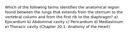 Which of the following terms identifies the anatomical region found between the lungs that extends from the sternum to the <a href='https://www.questionai.com/knowledge/ki4fsP39zf-vertebral-column' class='anchor-knowledge'>vertebral column</a> and from the first rib to the diaphragm? a) Epicardium b) Abdominal cavity c) Pericardium d) Mediastinum e) Thoracic cavity (Chapter 20.1: Anatomy of <a href='https://www.questionai.com/knowledge/kya8ocqc6o-the-heart' class='anchor-knowledge'>the heart</a>)