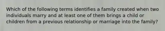 Which of the following terms identifies a family created when two individuals marry and at least one of them brings a child or children from a previous relationship or marriage into the family?