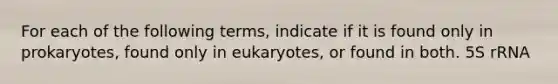 For each of the following terms, indicate if it is found only in prokaryotes, found only in eukaryotes, or found in both. 5S rRNA