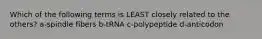 Which of the following terms is LEAST closely related to the others? a-spindle fibers b-tRNA c-polypeptide d-anticodon