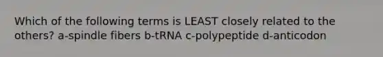 Which of the following terms is LEAST closely related to the others? a-spindle fibers b-tRNA c-polypeptide d-anticodon