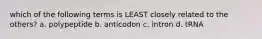 which of the following terms is LEAST closely related to the others? a. polypeptide b. anticodon c. intron d. tRNA