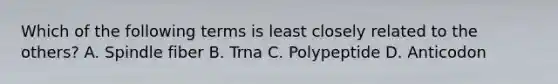 Which of the following terms is least closely related to the others? A. Spindle fiber B. Trna C. Polypeptide D. Anticodon