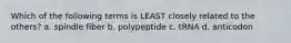 Which of the following terms is LEAST closely related to the others? a. spindle fiber b. polypeptide c. tRNA d. anticodon