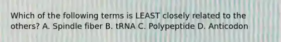 Which of the following terms is LEAST closely related to the others? A. Spindle fiber B. tRNA C. Polypeptide D. Anticodon