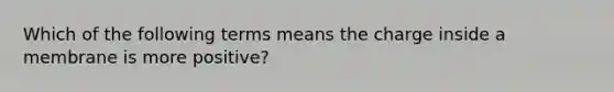 Which of the following terms means the charge inside a membrane is more positive?