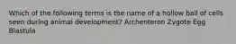 Which of the following terms is the name of a hollow ball of cells seen during animal development? Archenteron Zygote Egg Blastula