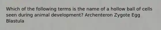 Which of the following terms is the name of a hollow ball of cells seen during animal development? Archenteron Zygote Egg Blastula