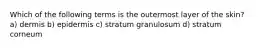 Which of the following terms is the outermost layer of the skin? a) dermis b) epidermis c) stratum granulosum d) stratum corneum