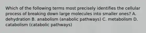 Which of the following terms most precisely identifies the cellular process of breaking down large molecules into smaller ones? A. dehydration B. anabolism (anabolic pathways) C. metabolism D. catabolism (catabolic pathways)