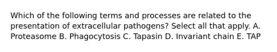 Which of the following terms and processes are related to the presentation of extracellular pathogens? Select all that apply. A. Proteasome B. Phagocytosis C. Tapasin D. Invariant chain E. TAP