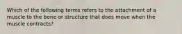 Which of the following terms refers to the attachment of a muscle to the bone or structure that does move when the muscle contracts?