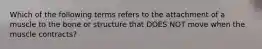 Which of the following terms refers to the attachment of a muscle to the bone or structure that DOES NOT move when the muscle contracts?