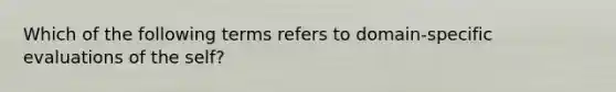 Which of the following terms refers to domain-specific evaluations of the self?