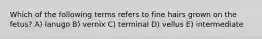 Which of the following terms refers to fine hairs grown on the fetus? A) lanugo B) vernix C) terminal D) vellus E) intermediate