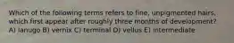 Which of the following terms refers to fine, unpigmented hairs, which first appear after roughly three months of development? A) lanugo B) vernix C) terminal D) vellus E) intermediate