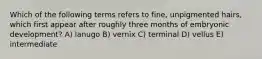 Which of the following terms refers to fine, unpigmented hairs, which first appear after roughly three months of embryonic development? A) lanugo B) vernix C) terminal D) vellus E) intermediate