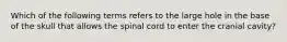 Which of the following terms refers to the large hole in the base of the skull that allows the spinal cord to enter the cranial cavity?