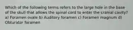 Which of the following terms refers to the large hole in the base of the skull that allows the spinal cord to enter the cranial cavity? a) Foramen ovale b) Auditory foramen c) Foramen magnum d) Obturator foramen