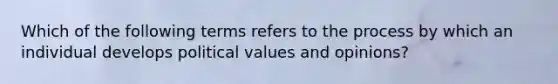 Which of the following terms refers to the process by which an individual develops political values and opinions?