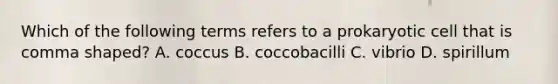 Which of the following terms refers to a prokaryotic cell that is comma shaped? A. coccus B. coccobacilli C. vibrio D. spirillum