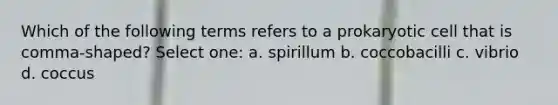 Which of the following terms refers to a prokaryotic cell that is comma-shaped? Select one: a. spirillum b. coccobacilli c. vibrio d. coccus