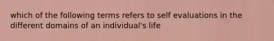 which of the following terms refers to self evaluations in the different domains of an individual's life