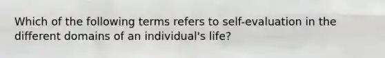 Which of the following terms refers to self-evaluation in the different domains of an individual's life?