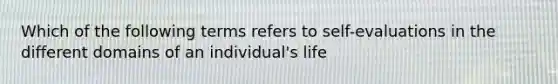 Which of the following terms refers to self-evaluations in the different domains of an individual's life