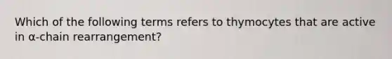 Which of the following terms refers to thymocytes that are active in α-chain rearrangement?