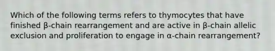 Which of the following terms refers to thymocytes that have finished β-chain rearrangement and are active in β-chain allelic exclusion and proliferation to engage in α-chain rearrangement?