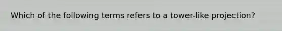 Which of the following terms refers to a tower-like projection?