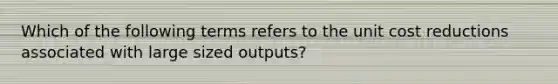 Which of the following terms refers to the unit cost reductions associated with large sized outputs?