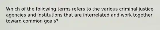 Which of the following terms refers to the various criminal justice agencies and institutions that are interrelated and work together toward common goals?