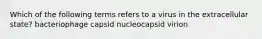 Which of the following terms refers to a virus in the extracellular state? bacteriophage capsid nucleocapsid virion