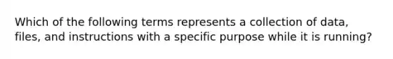 Which of the following terms represents a collection of data, files, and instructions with a specific purpose while it is running?