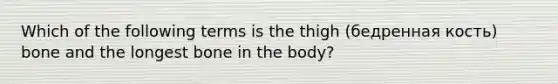 Which of the following terms is the thigh (бедренная кость) bone and the longest bone in the body?