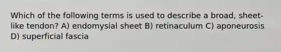 Which of the following terms is used to describe a broad, sheet-like tendon? A) endomysial sheet B) retinaculum C) aponeurosis D) superficial fascia